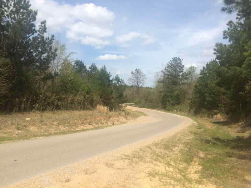 Advance Land and Timber Land for sale property_imgs/img_935~0.jpg