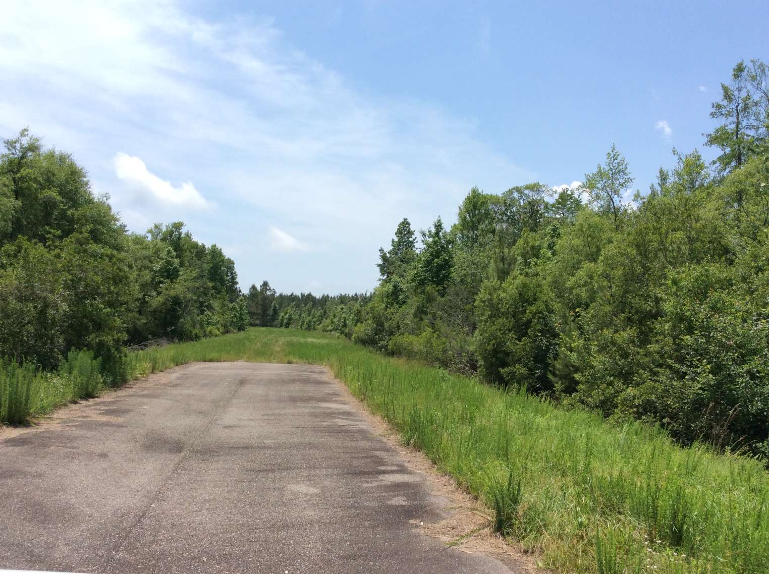 Horry County South Carolina Land for Sale