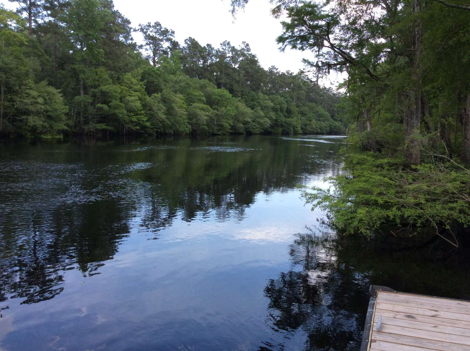 Horry County South Carolina Land for Sale