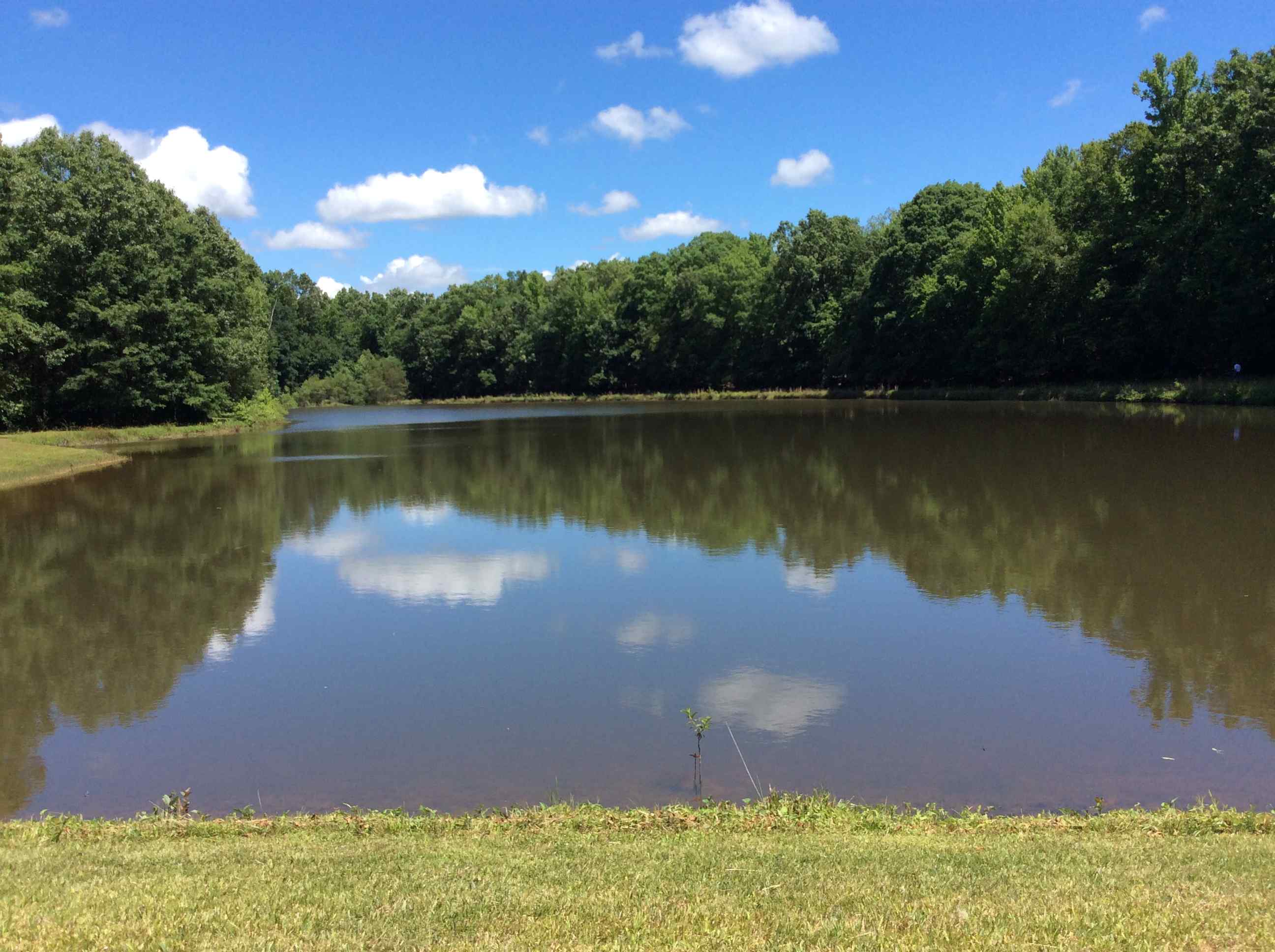 Advance Land and Timber Land for sale property_imgs/img_998.jpg