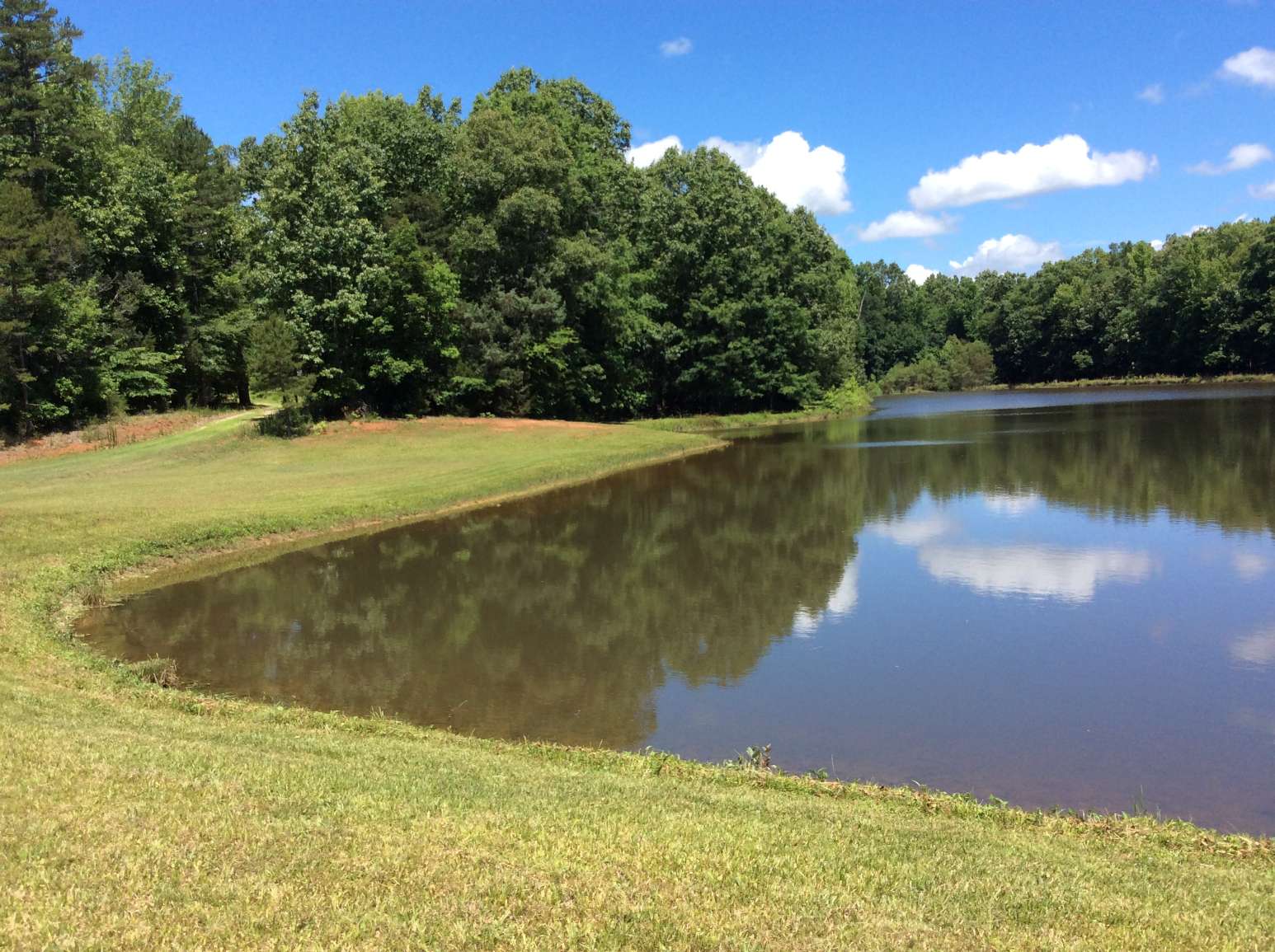 Advance Land and Timber Land for sale property_imgs/img_999.jpg