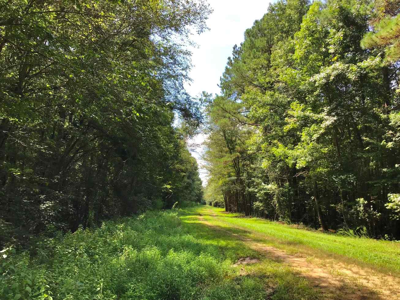 Advance Land and Timber Land for sale property_imgs/img_e1631.jpg