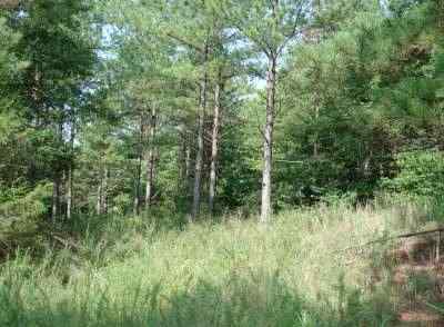 Advance Land and Timber Land for sale property_imgs/ls463_4~2.jpg