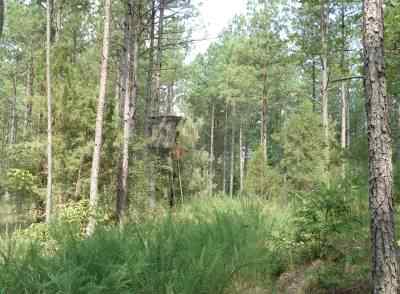 Advance Land and Timber Land for sale property_imgs/ls471_2.jpg