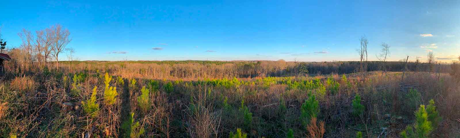 Advance Land and Timber Land for sale property_imgs/pano2.jpg