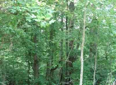 Abbeville County South Carolina Land for Sale