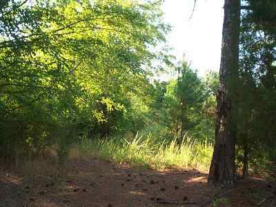 Edgefield County South Carolina Land for Sale