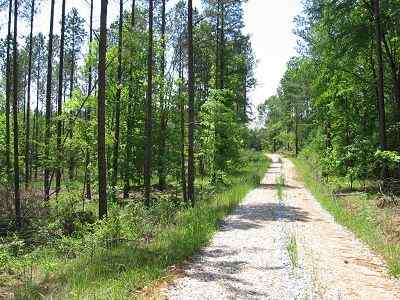Greenwood County South Carolina Land for Sale