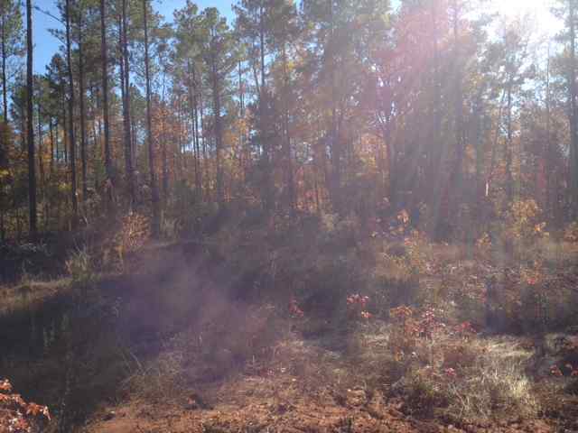 Advance Land and Timber Land for sale property_imgs/photo15.jpg