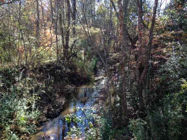 Advance Land and Timber Land for sale property_imgs/photo1~11.jpg