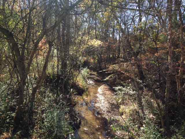 Advance Land and Timber Land for sale property_imgs/photo25.jpg