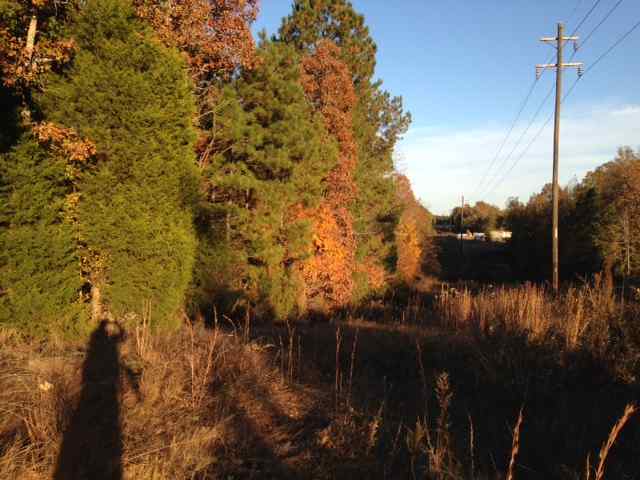 Advance Land and Timber Land for sale property_imgs/photo26.jpg