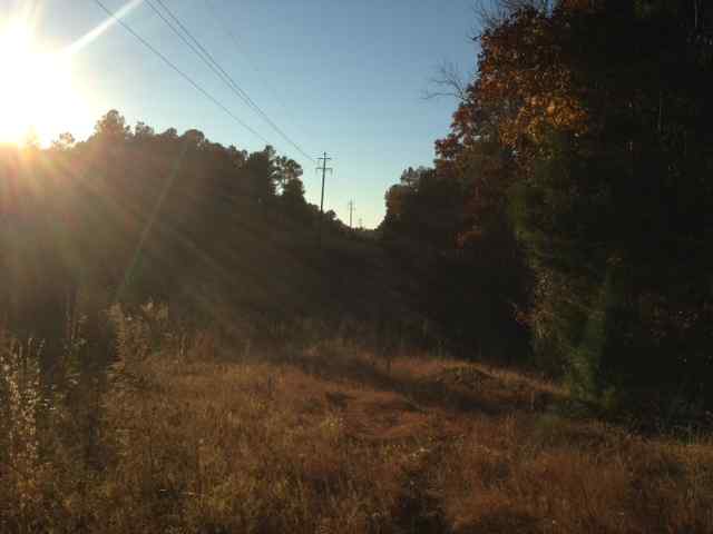 Advance Land and Timber Land for sale property_imgs/photo27.jpg
