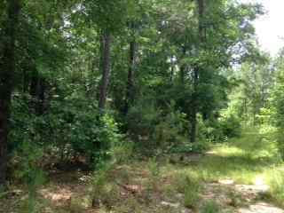Advance Land and Timber Land for sale property_imgs/photo2b~2.jpg