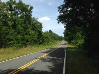 Advance Land and Timber Land for sale property_imgs/photo6~2.jpg