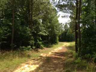 Advance Land and Timber Land for sale property_imgs/photo8~2.jpg