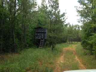 Advance Land and Timber Land for sale property_imgs/photo9~2.jpg