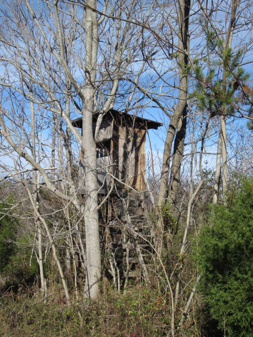 Bedford County Virginia Land for Sale