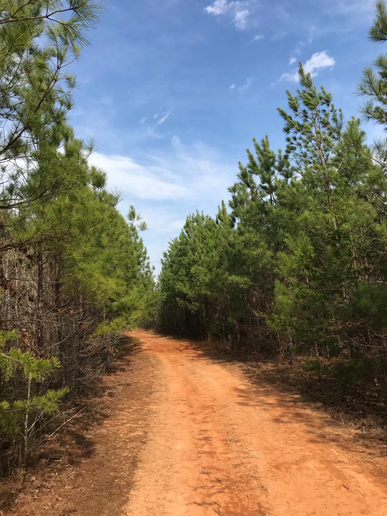 Lunenburg County Virginia Land for Sale