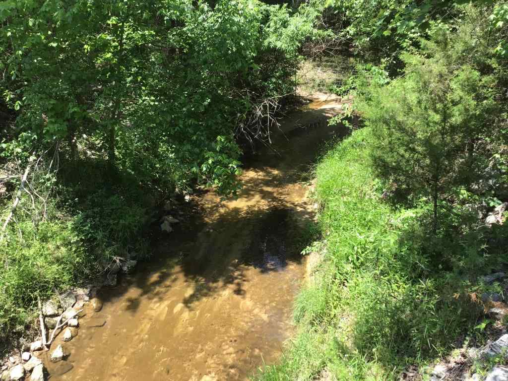 Advance Land and Timber Land for sale property_imgs/sr11311.jpg
