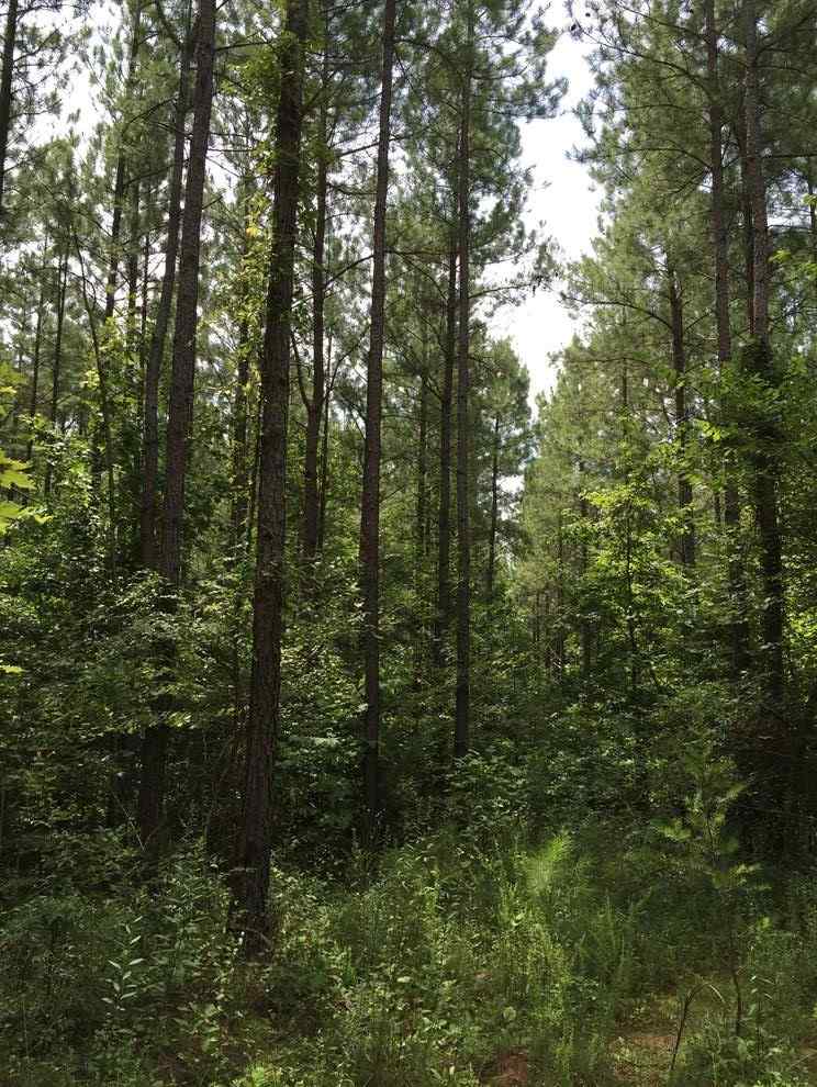 Prince-edward County Virginia Land for Sale