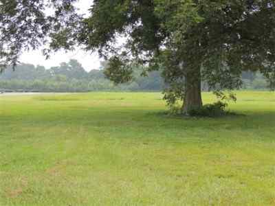 Advance Land and Timber Land for sale property_imgs/w1_2.jpg