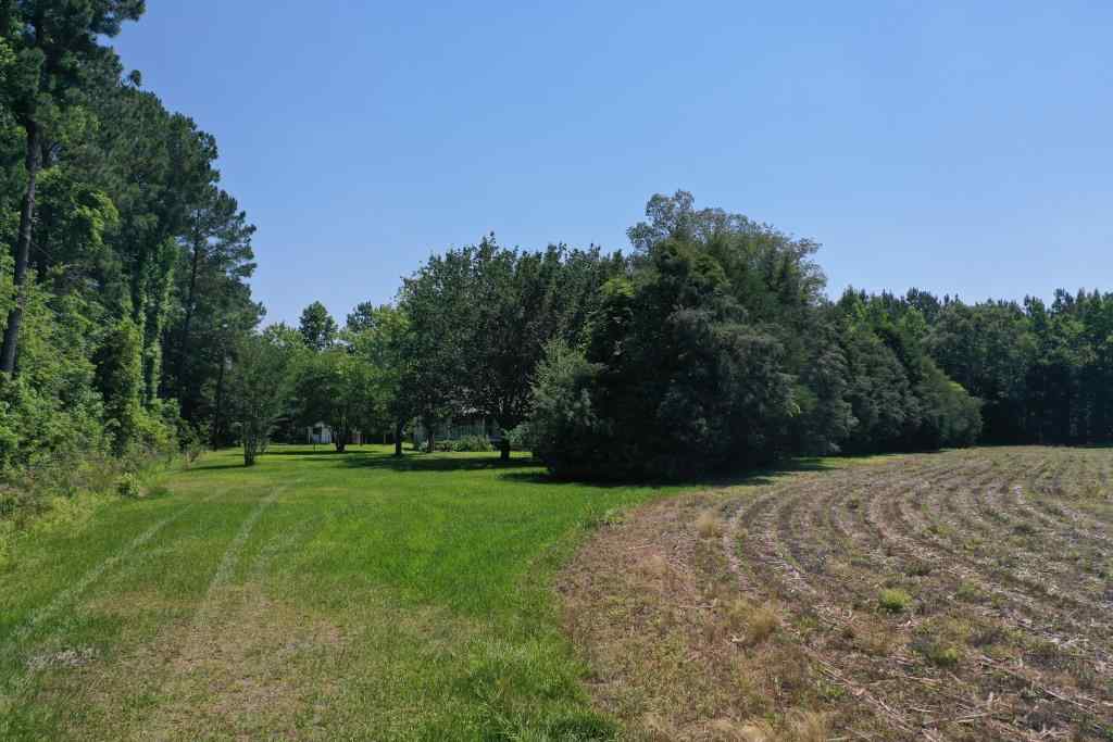 10 +/ Acres for Sale Sam Potts Hwy Hallsboro