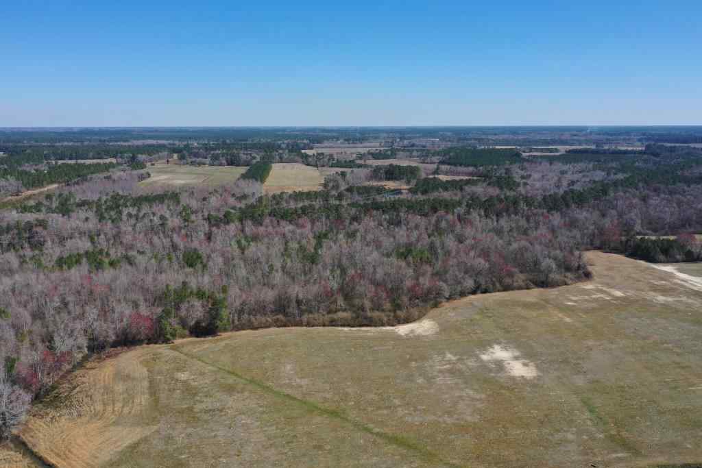 Columbus County North Carolina Land for Sale