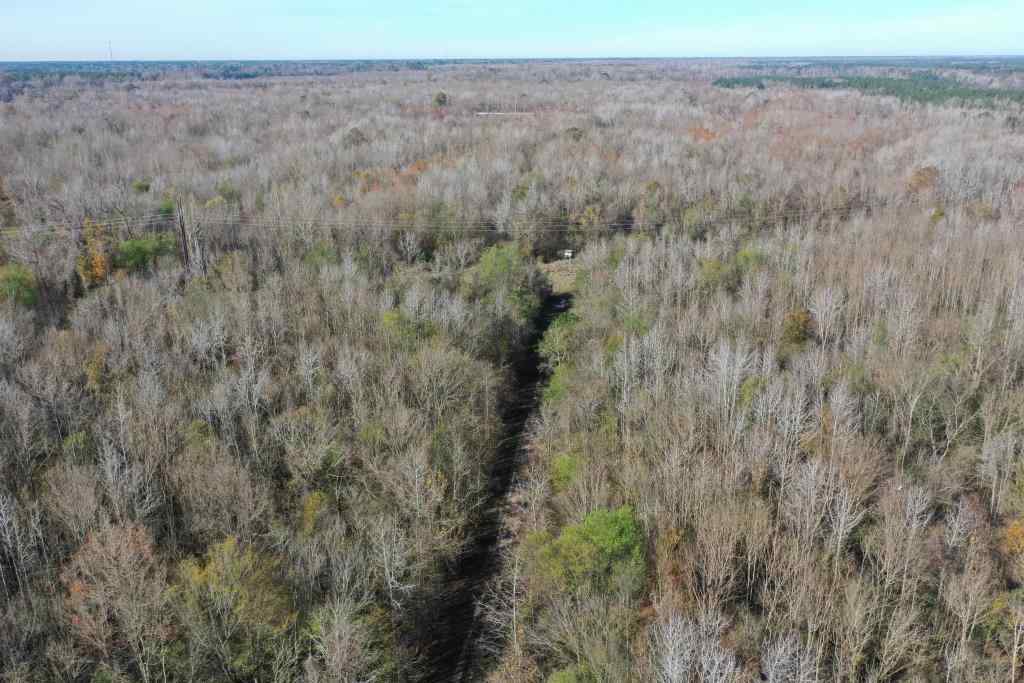 Advance Land and Timber Land for sale property_imgs/zibelincompadrone1~1.jpg